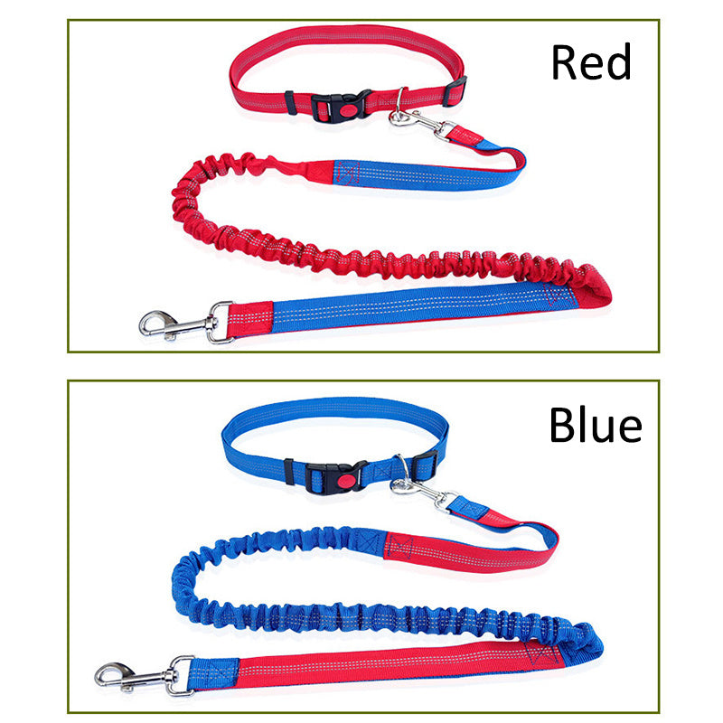 Durable Elastic Nylon Dog Leash for Running and Walking - Pet Traction Leash with Comfortable Grip - Ideal for Active Dogs and Pet Owners