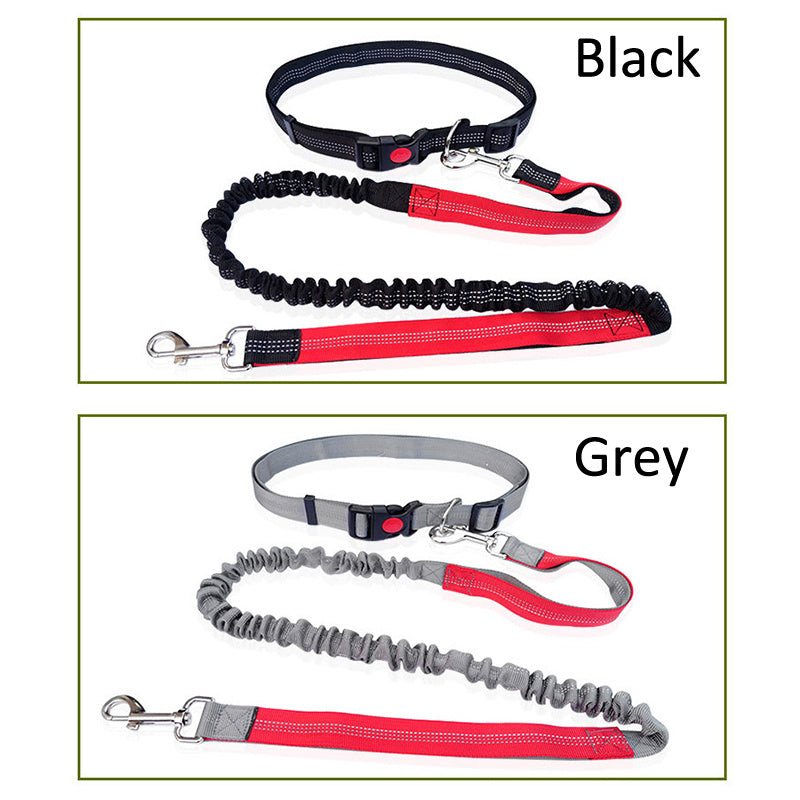 Durable Elastic Nylon Dog Leash for Running and Walking - Pet Traction Leash with Comfortable Grip - Ideal for Active Dogs and Pet Owners