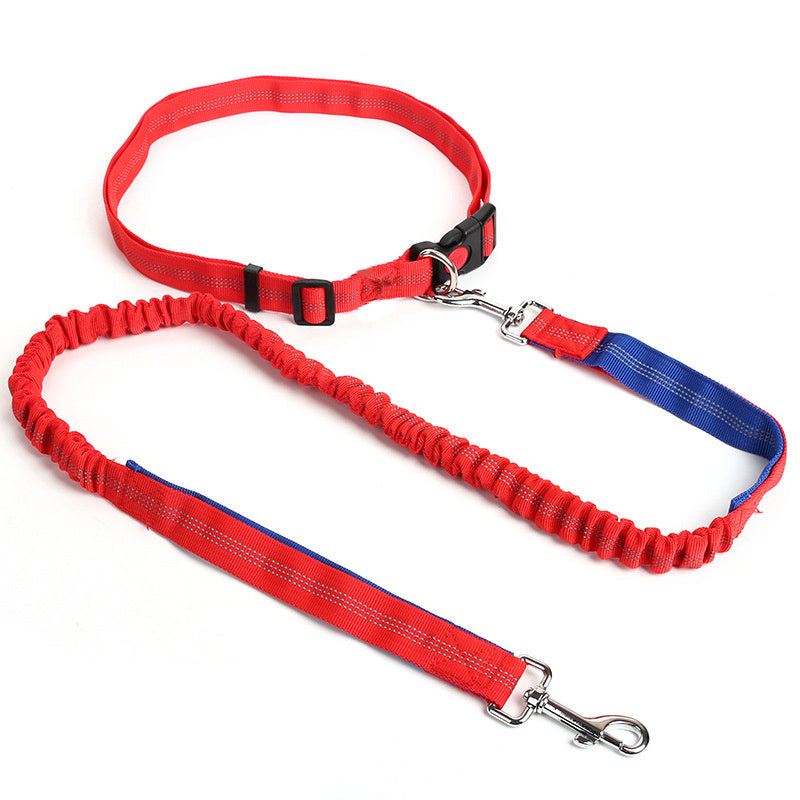 Durable Elastic Nylon Dog Leash for Running and Walking - Pet Traction Leash with Comfortable Grip - Ideal for Active Dogs and Pet Owners