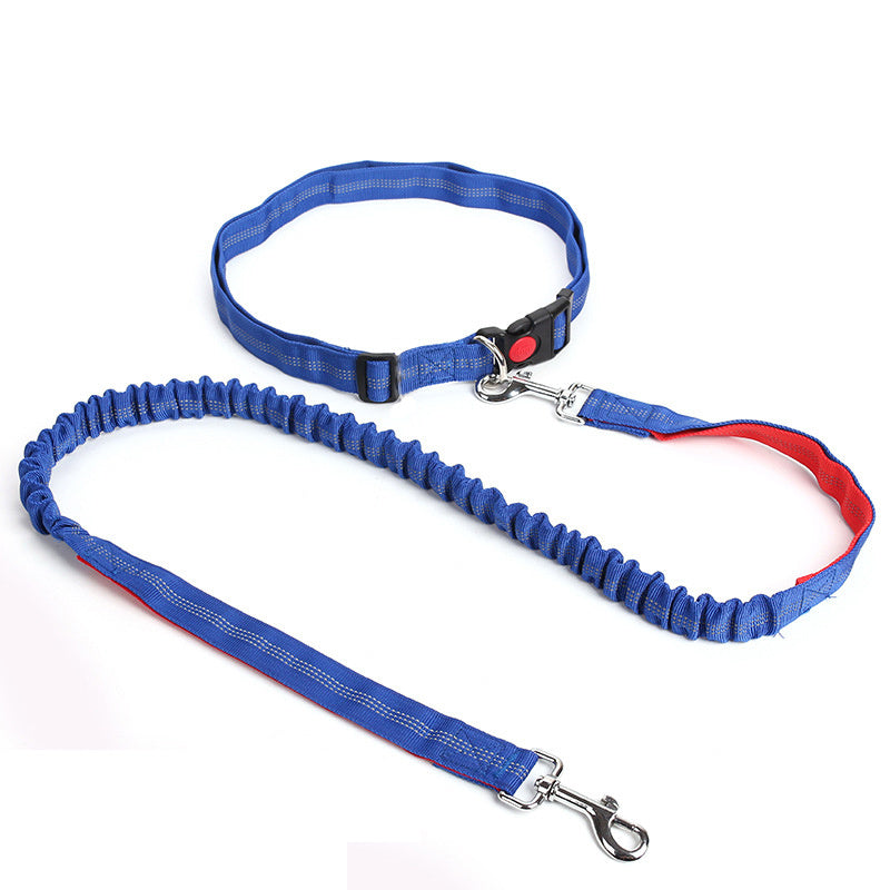 Durable Elastic Nylon Dog Leash for Running and Walking - Pet Traction Leash with Comfortable Grip - Ideal for Active Dogs and Pet Owners
