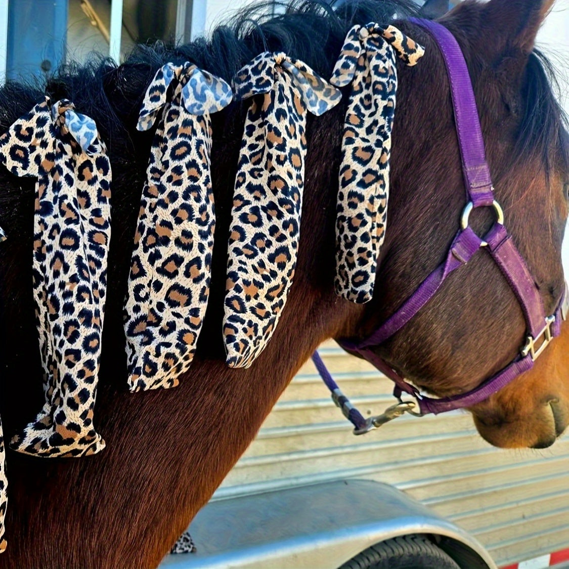 Sacchetti Protettivi per Criniera Cavallo - Set da 8 Pezzi (Viola)