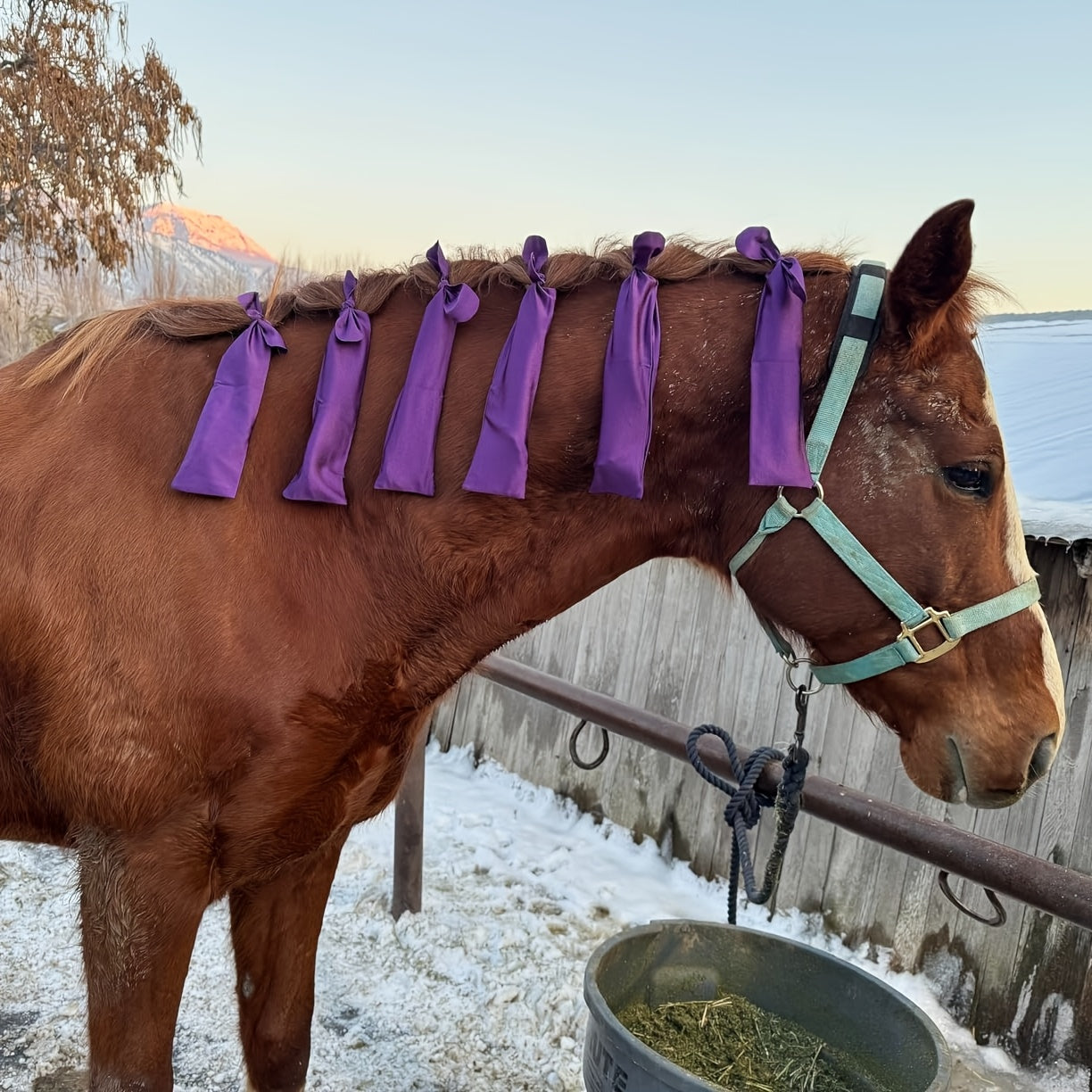 Sacchetti Protettivi per Criniera Cavallo - Set da 8 Pezzi (Viola)
