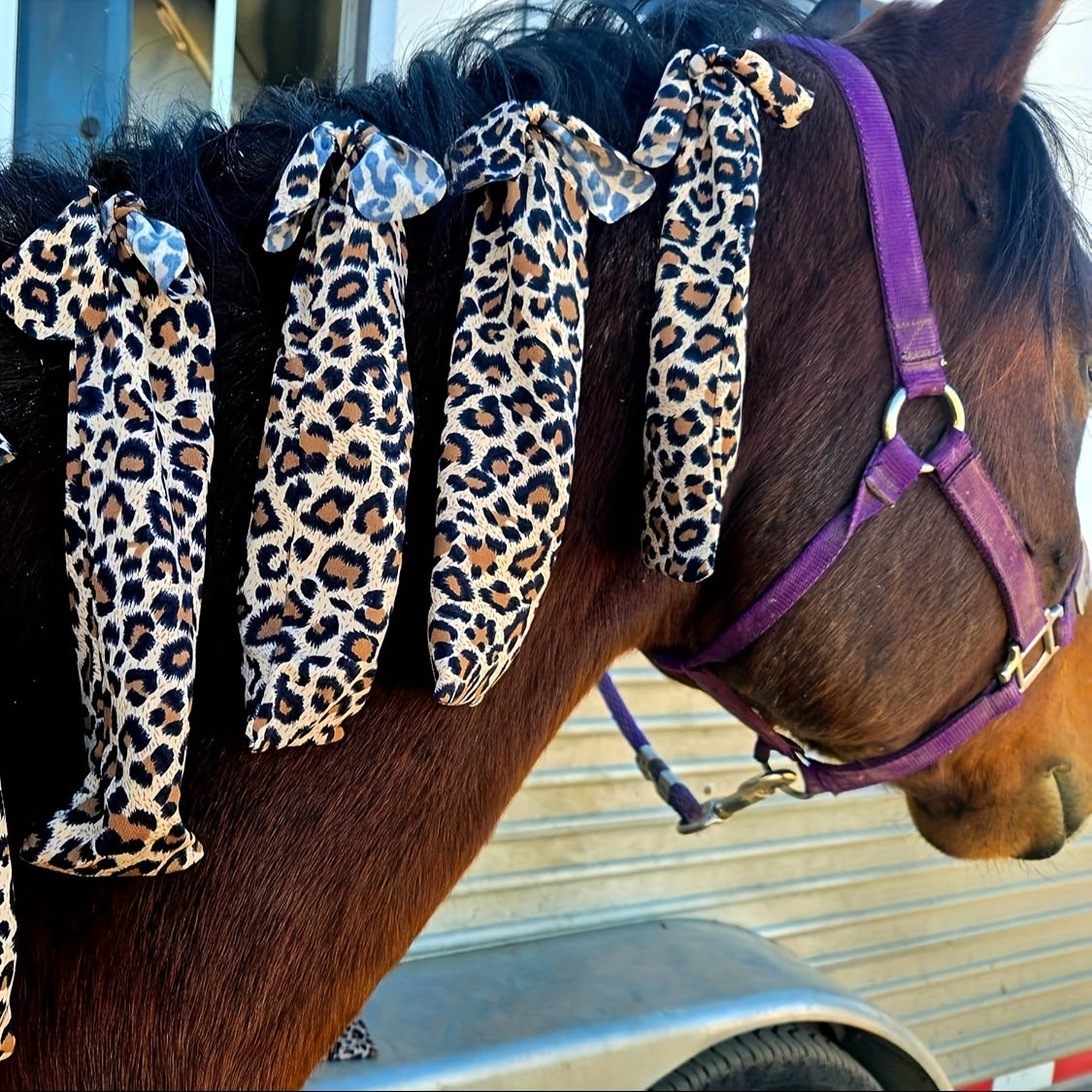 Sacchetti Protettivi per Criniera Cavallo - Set da 8 Pezzi (Viola)