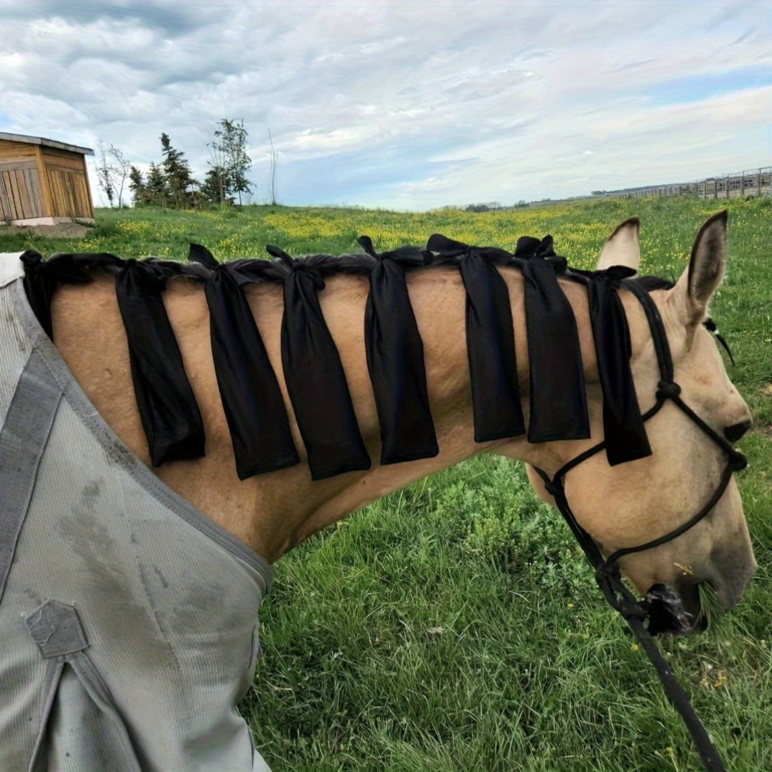 Sacchetti Protettivi per Criniera Cavallo - Set da 8 Pezzi (Viola)