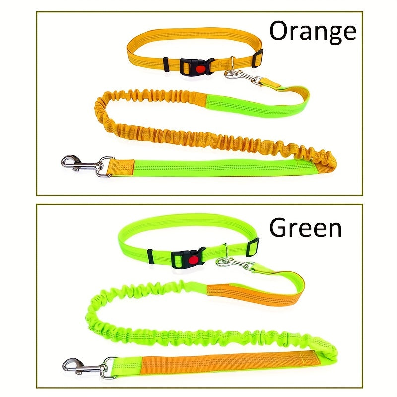 Durable Elastic Nylon Dog Leash for Running and Walking - Pet Traction Leash with Comfortable Grip - Ideal for Active Dogs and Pet Owners