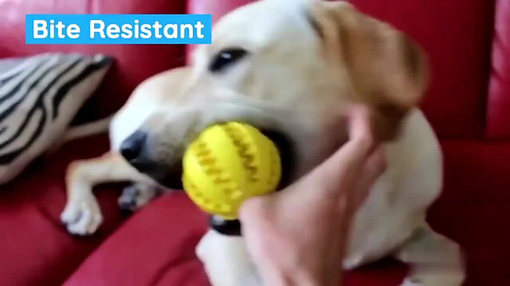 1pc Small Dog Ball Toy, Interactive Stretchy Puppy Chew Toys, Teeth Cleaning Rubber Food Ball Toys, Pet Accessories, Dog Toy Ball, Watermelon Ball, Teething Ball, Anti-bite Rubber Ball, Large And Small Dog Ball Pet Toys