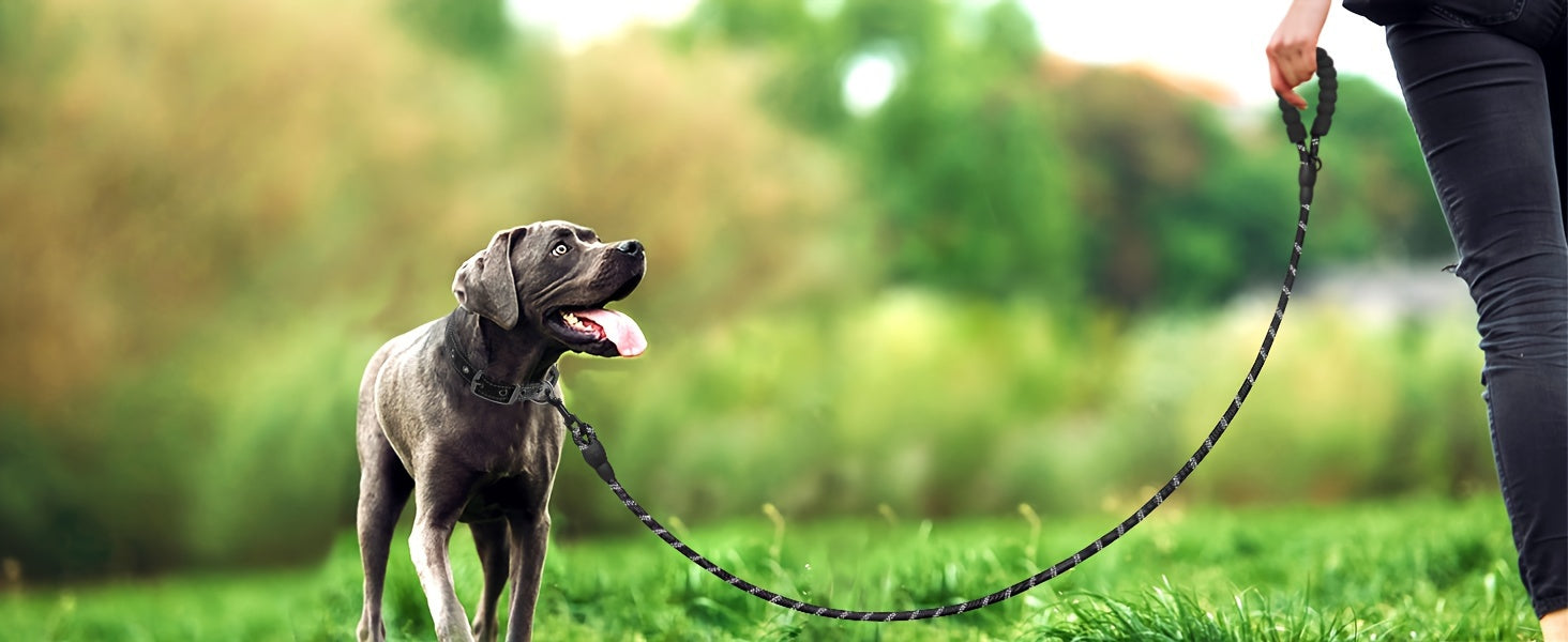 JOYTALE Dog Harness and Leash set,No Pull Adjustable Reflective Oxford Dog Harness Easy Control Medium Large Dog Harness with A Free Heavy Duty 152.4cm Dog Leash