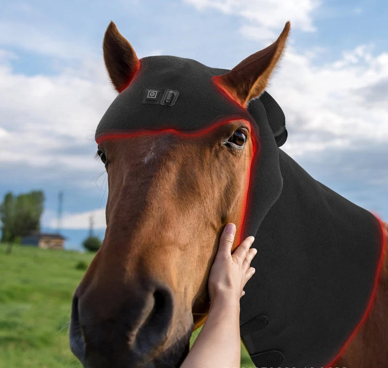 LED Red Light Infrared Physiotherapy for Pets and Horses Horse Neck Head Relaxation and Recovery Therapy Phototherapy