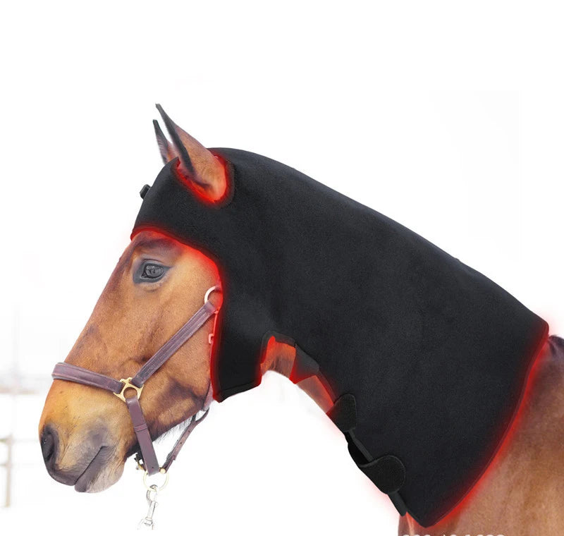 LED Red Light Infrared Physiotherapy for Pets and Horses Horse Neck Head Relaxation and Recovery Therapy Phototherapy