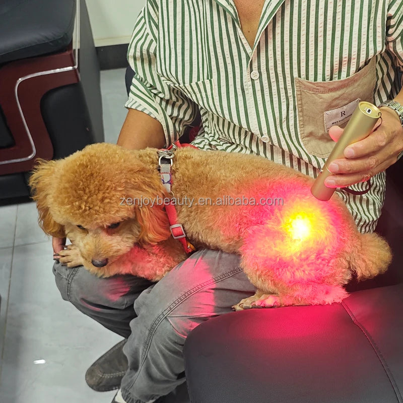 Customized OEM 5 Wavelength Red Light Torch Pain Relief Near Infrared Red Light Therapy Pen Infrared Light Vet Therapy for Horse