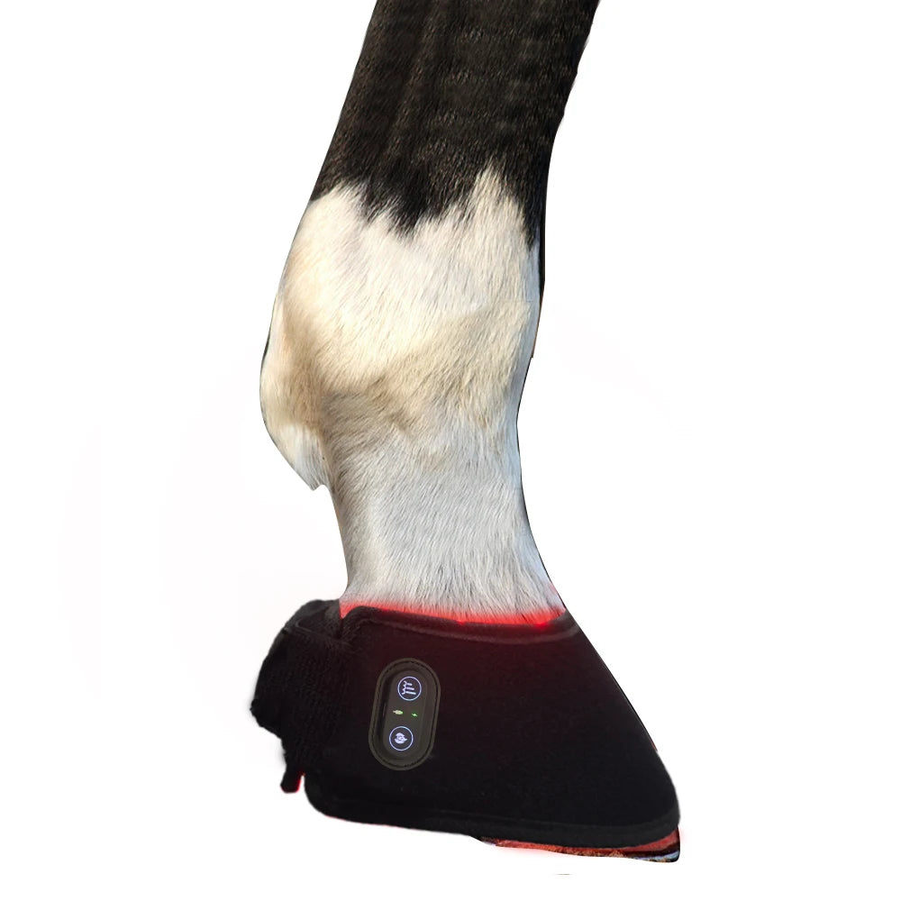 Red Light Therapy Wrap Pad for Horse Hoof Pain Treatment in Horses With Red Light Infrared Light 850nm