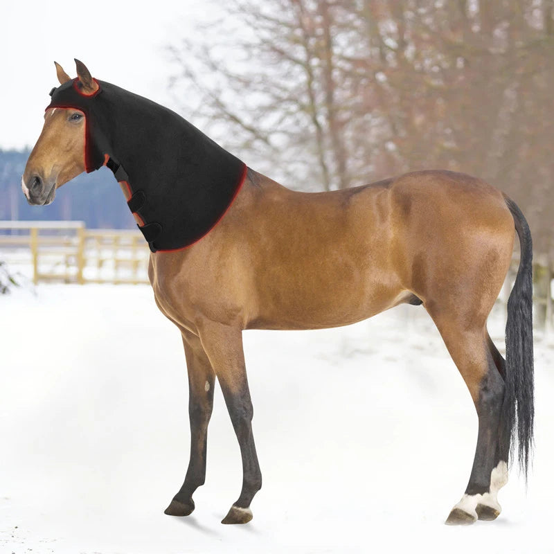 LED Red Light Infrared Physiotherapy for Pets and Horses Horse Neck Head Relaxation and Recovery Therapy Phototherapy
