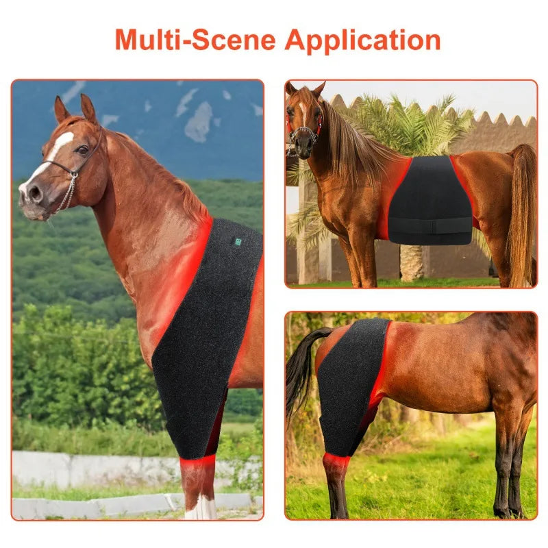 LED Red Light Infrared Physiotherapy for Pets and Horses Horse Neck Head Relaxation and Recovery Therapy Phototherapy