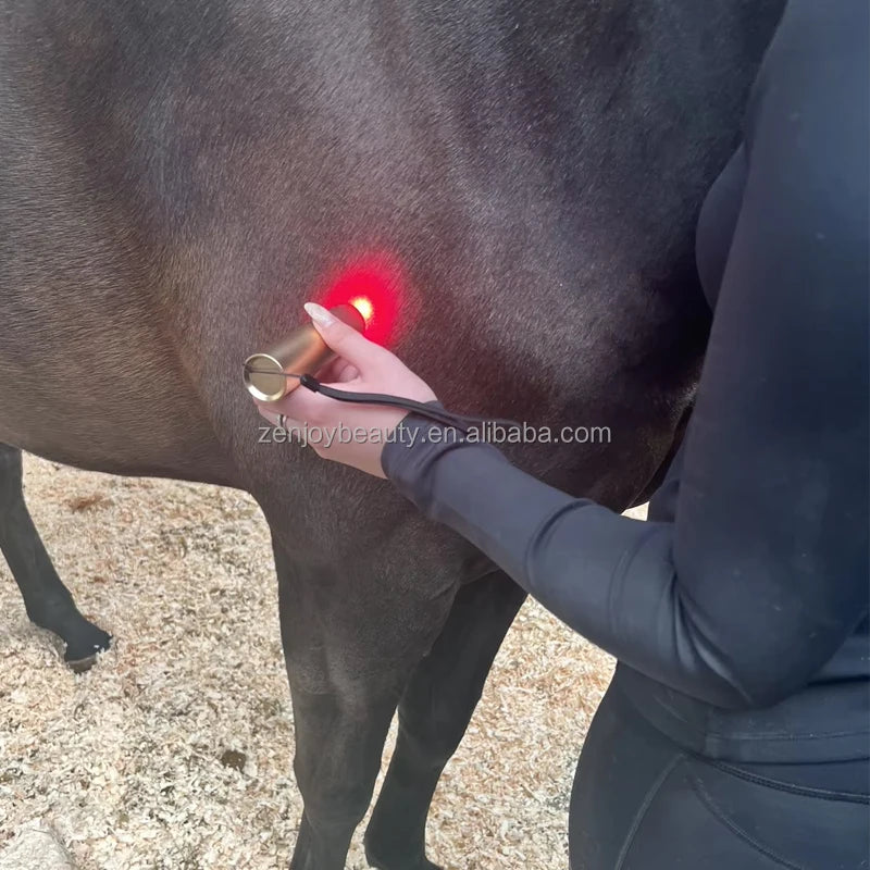 Customized OEM 5 Wavelength Red Light Torch Pain Relief Near Infrared Red Light Therapy Pen Infrared Light Vet Therapy for Horse