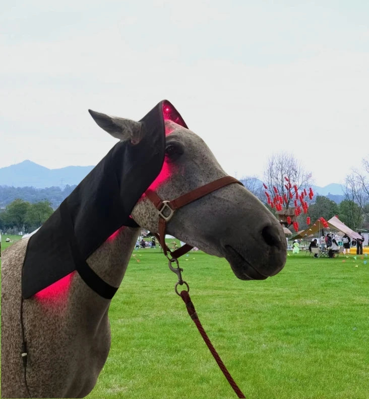 Breathable Ok Neoprene Lamination Sheet Fabric for Horse Supplies RedThera Equine LED Red Light Therapy Poll Cap Neck Head Wrap