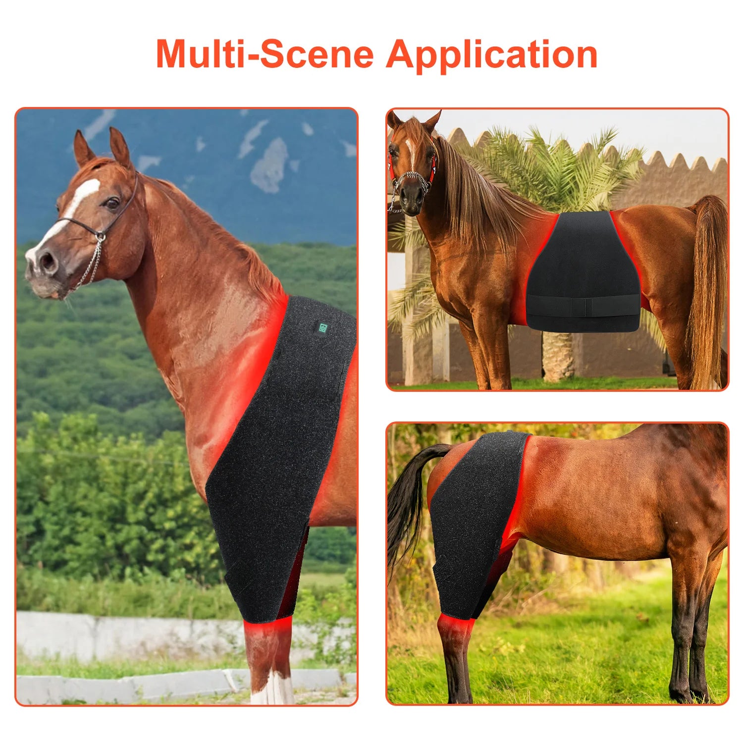 Red Light Therapy Blanket: Battery-Powered for Horses and Ponies, Includes a Pair of Stifle Wraps for Equine Therapy