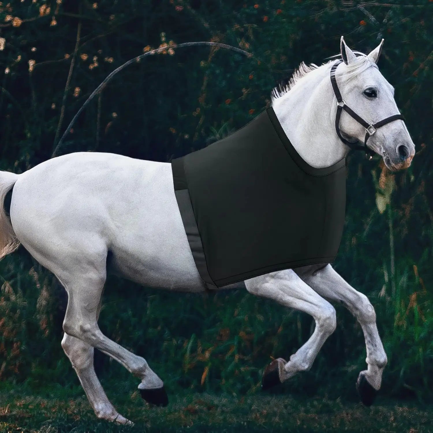 Horse Vest Shoulder Guard Horse Blanket Anti-Friction Liner Horse Bib Equestrian Supplies for Horse Protection and Daily Care