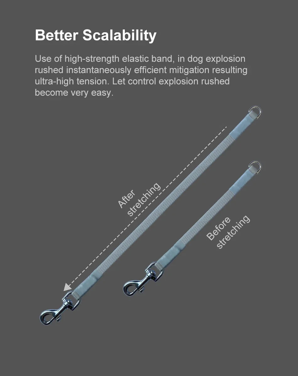 Pet Leash Accessories Pet Poop Bag Dispenser Extension Belt for 2 Pet Replaceable Belt Poop Bags for Pet Walk Ease Moestar