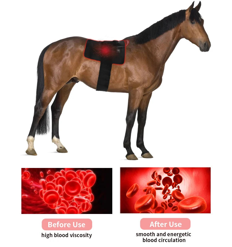 660nm 850nm Infrared Red Light Therapy Rug Horse Pad Red Horse Blankets Equine Red Light Therapy Mat for Horse