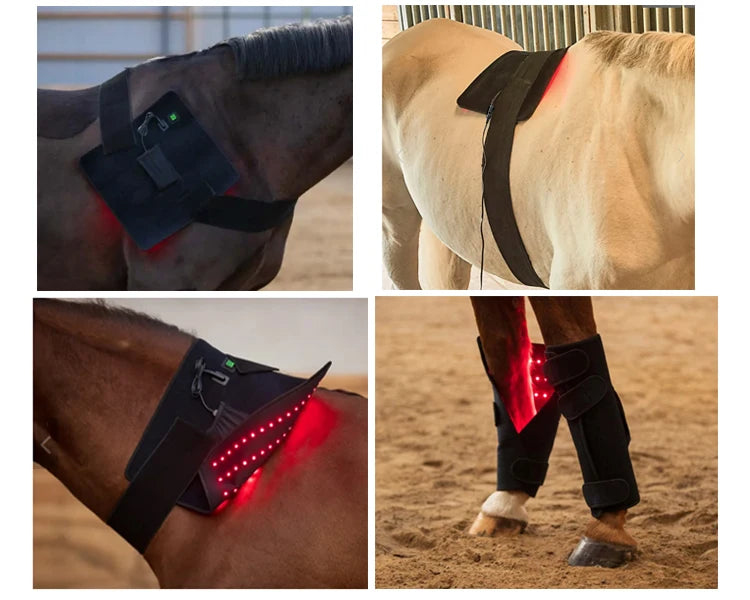 660nm 850nm Infrared Red Light Therapy Rug Horse Pad Red Horse Blankets Equine Red Light Therapy Mat for Horse