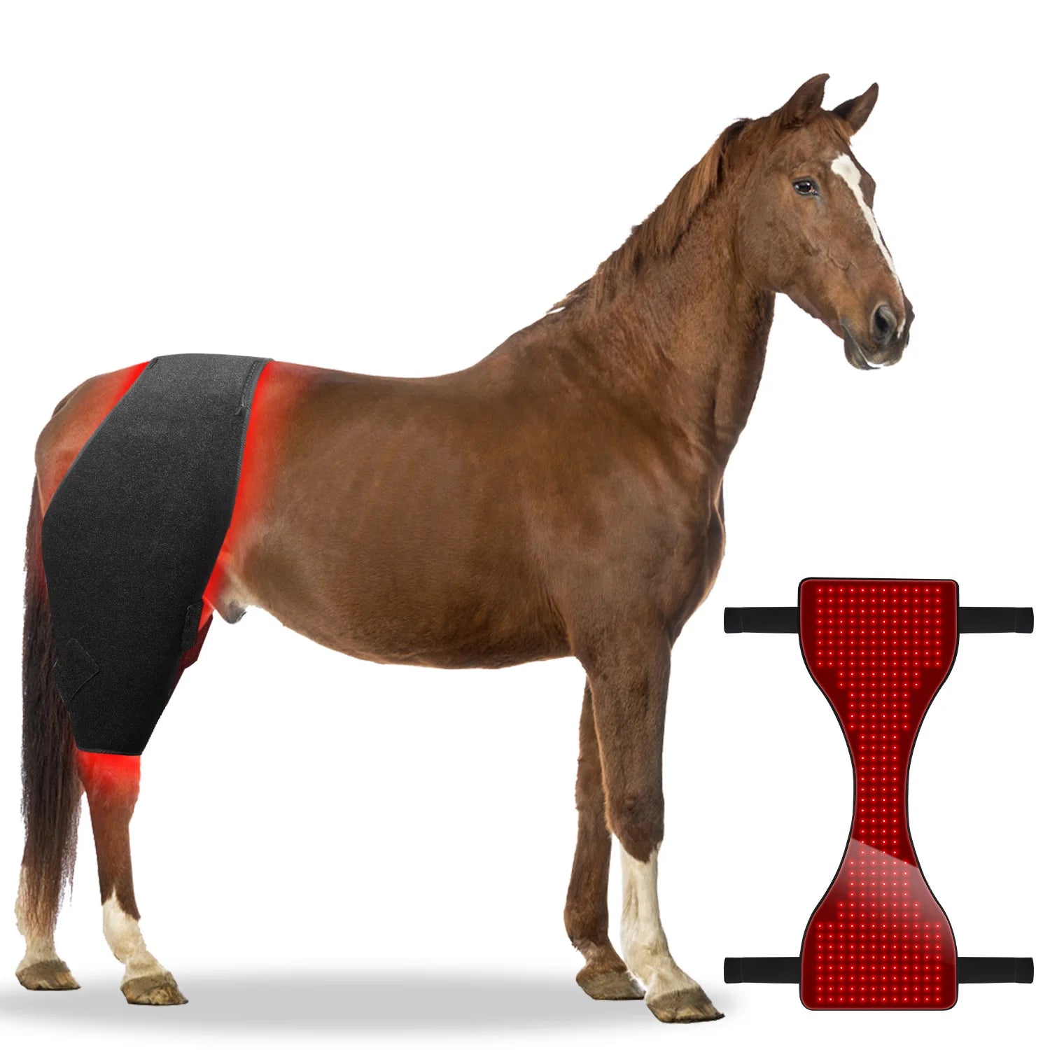 Red Light Therapy Blanket: Battery-Powered for Horses and Ponies, Includes a Pair of Stifle Wraps for Equine Therapy