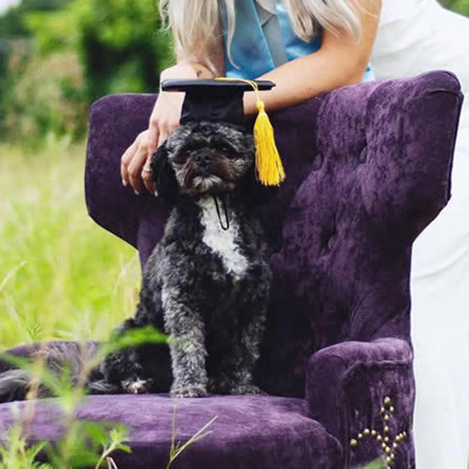 Graduation Hat Pet Accessory Adjustable Pet Graduation Cap For Dogs Cats Graduation Costume Party Favor