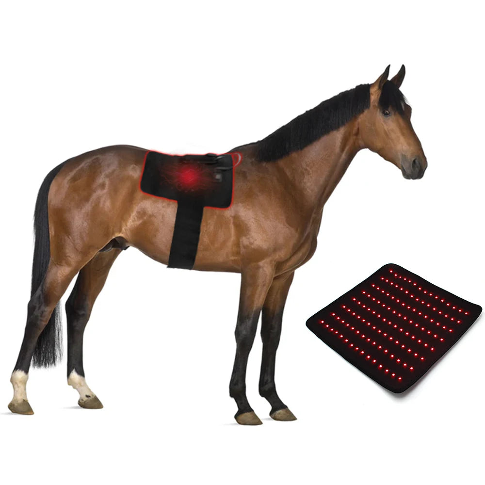 660nm 850nm Infrared Red Light Therapy Rug Horse Pad Red Horse Blankets Equine Red Light Therapy Mat for Horse