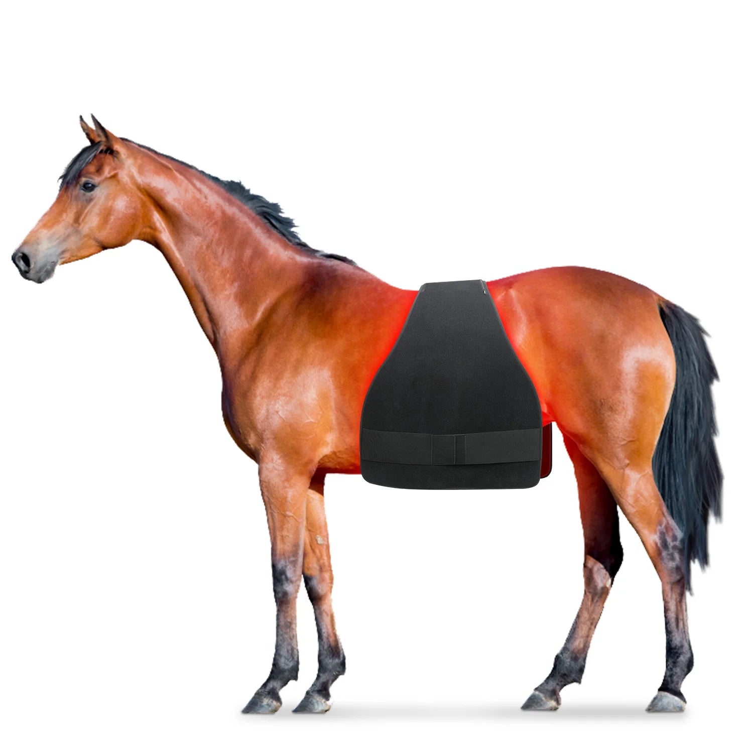Red Light Therapy Blanket: Battery-Powered for Horses and Ponies, Includes a Pair of Stifle Wraps for Equine Therapy
