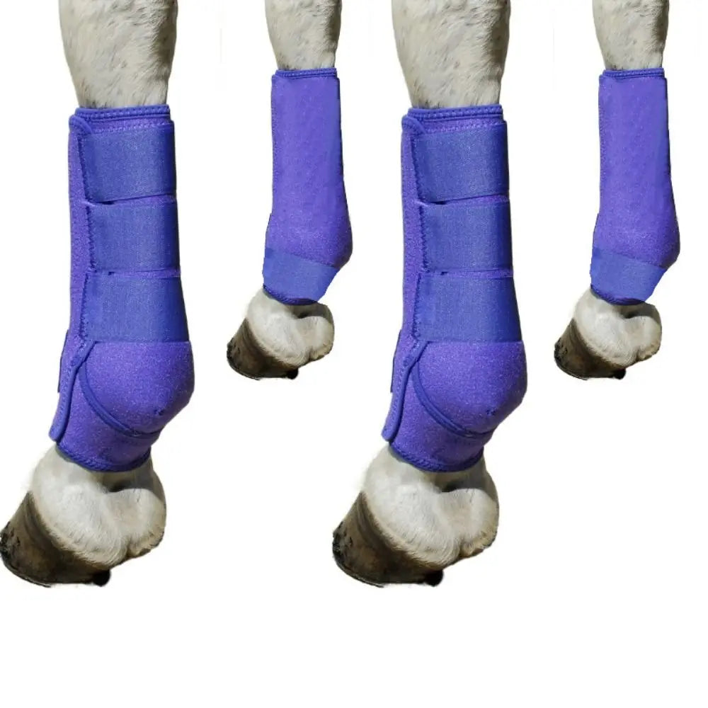 4pcs/set Colorful Horse Sport Boots Set Durable Breathable Horse Leg Wraps Easy To Wear Comfortable Front Hind Legs Guard