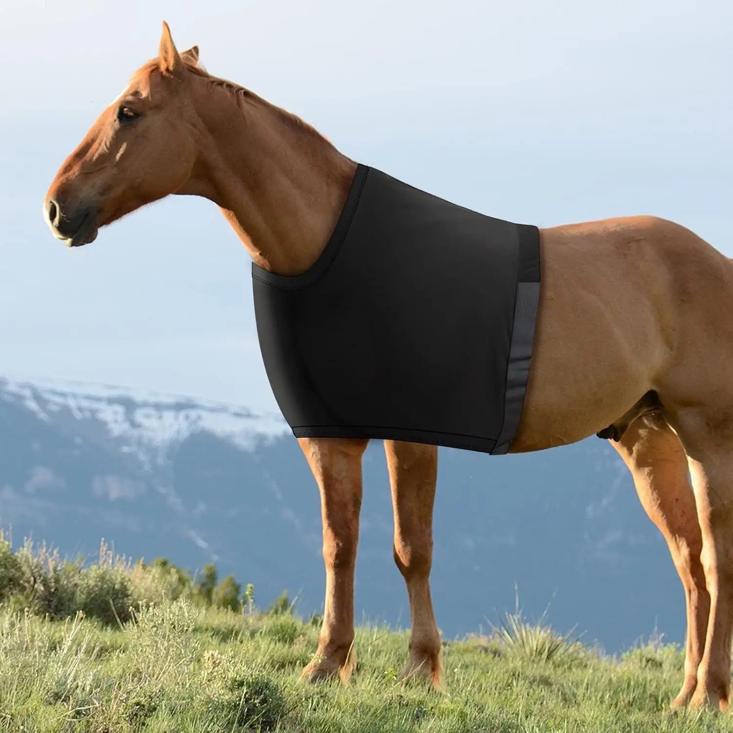 Horse Vest Shoulder Guard Horse Blanket Anti-Friction Liner Horse Bib Equestrian Supplies for Horse Protection and Daily Care