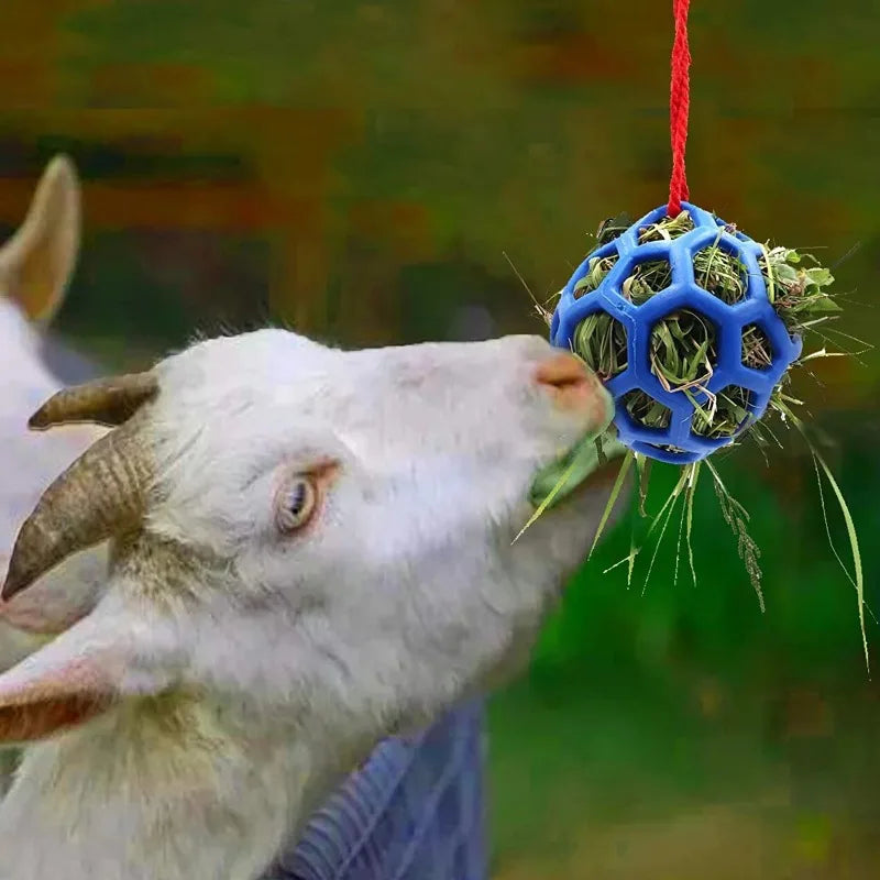 Hay Ball for Horses To Play with, Relieve Stress with This Bright Color Hay Feeder Ball for Horses Goat To Avoid Boredom