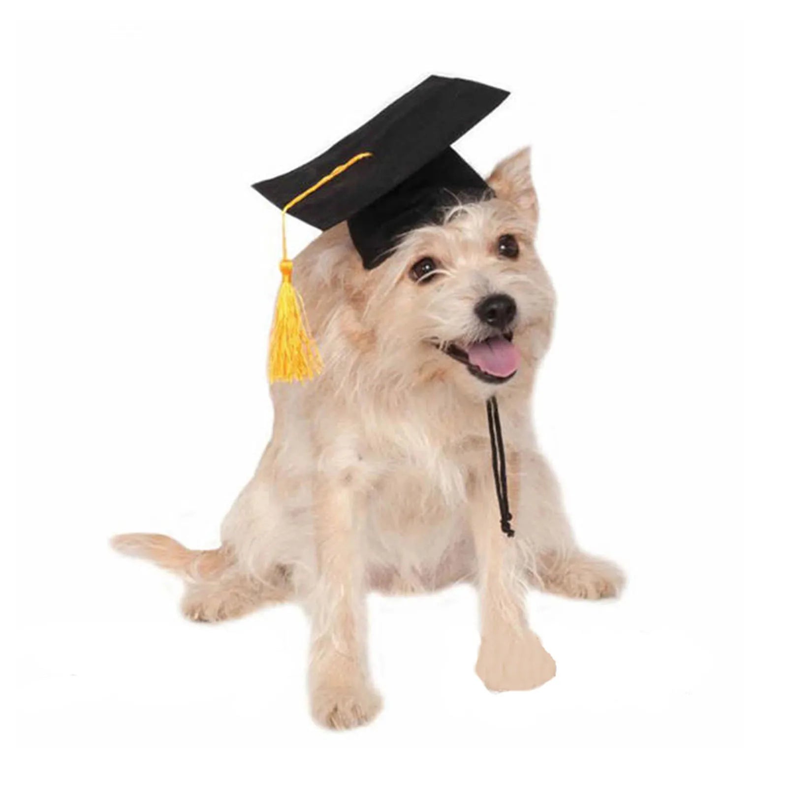 Graduation Hat Pet Accessory Adjustable Pet Graduation Cap For Dogs Cats Graduation Costume Party Favor