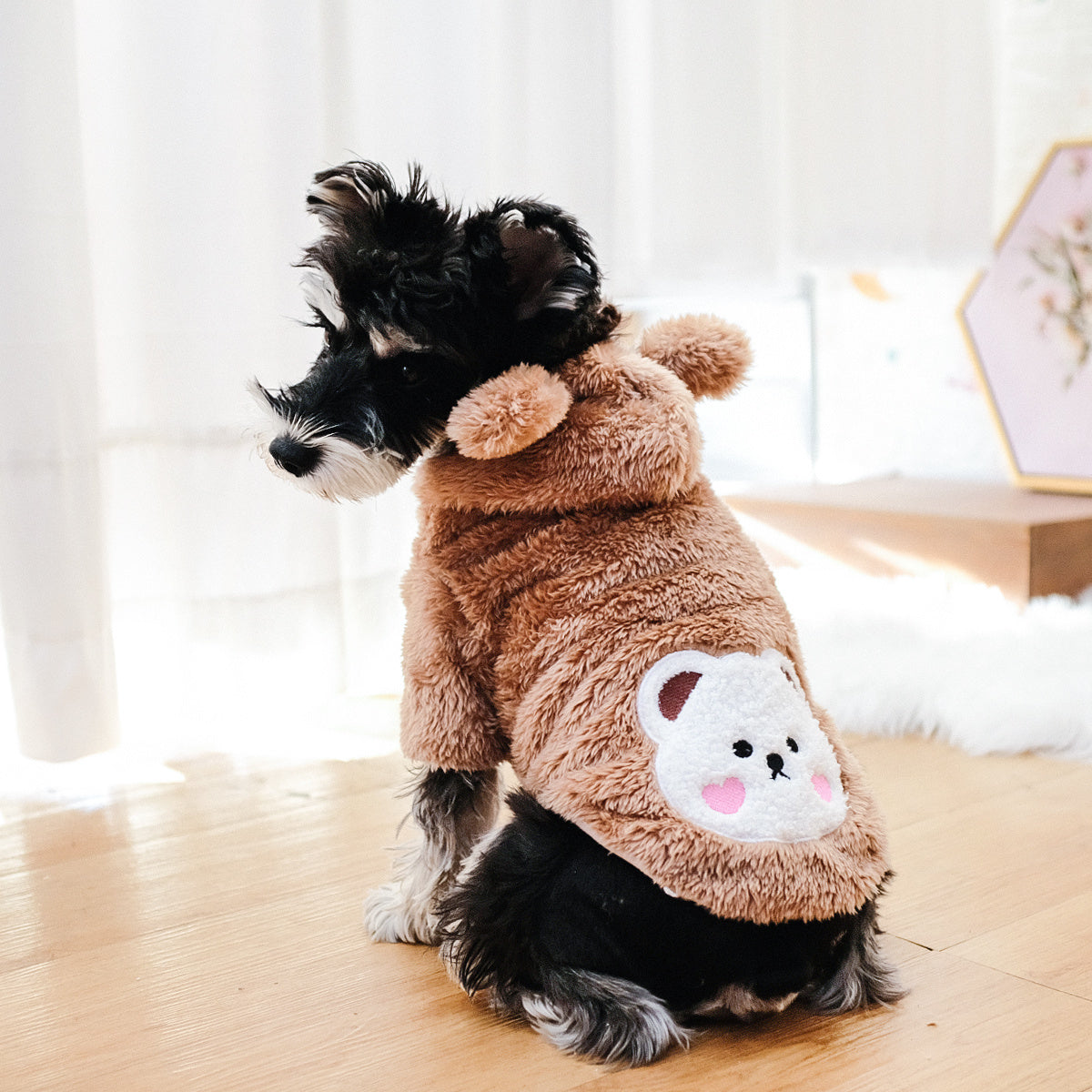 Pet Warm Teddy Bear Costume, Dog & Cat Pet Costumes