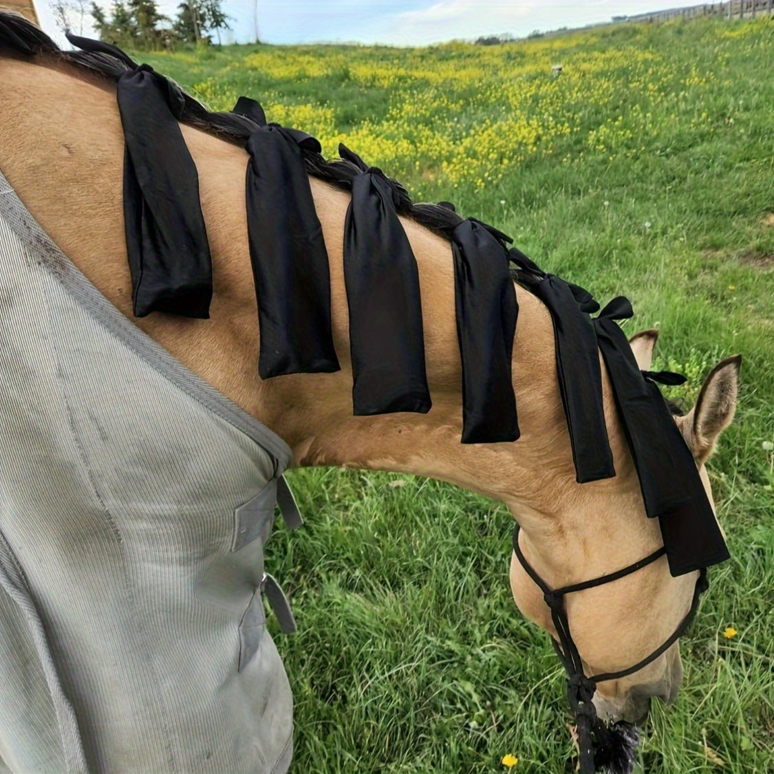 Sacchetti Protettivi per Criniera Cavallo - Set da 8 Pezzi (Viola)