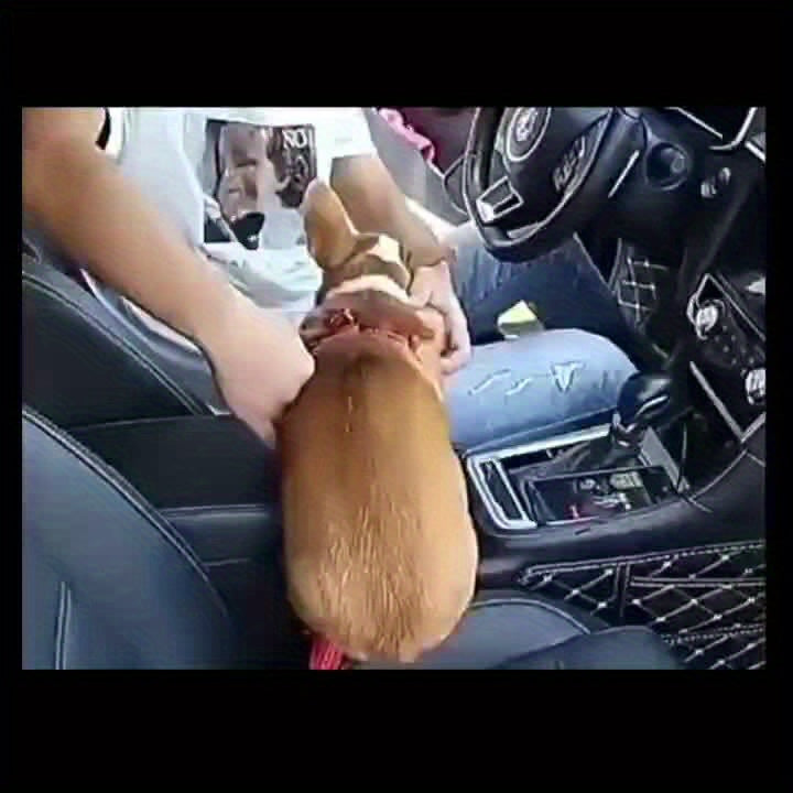 Durable Nylon Dog Seat Belt - Adjustable Car Safety Harness with Leash for Secure Travel