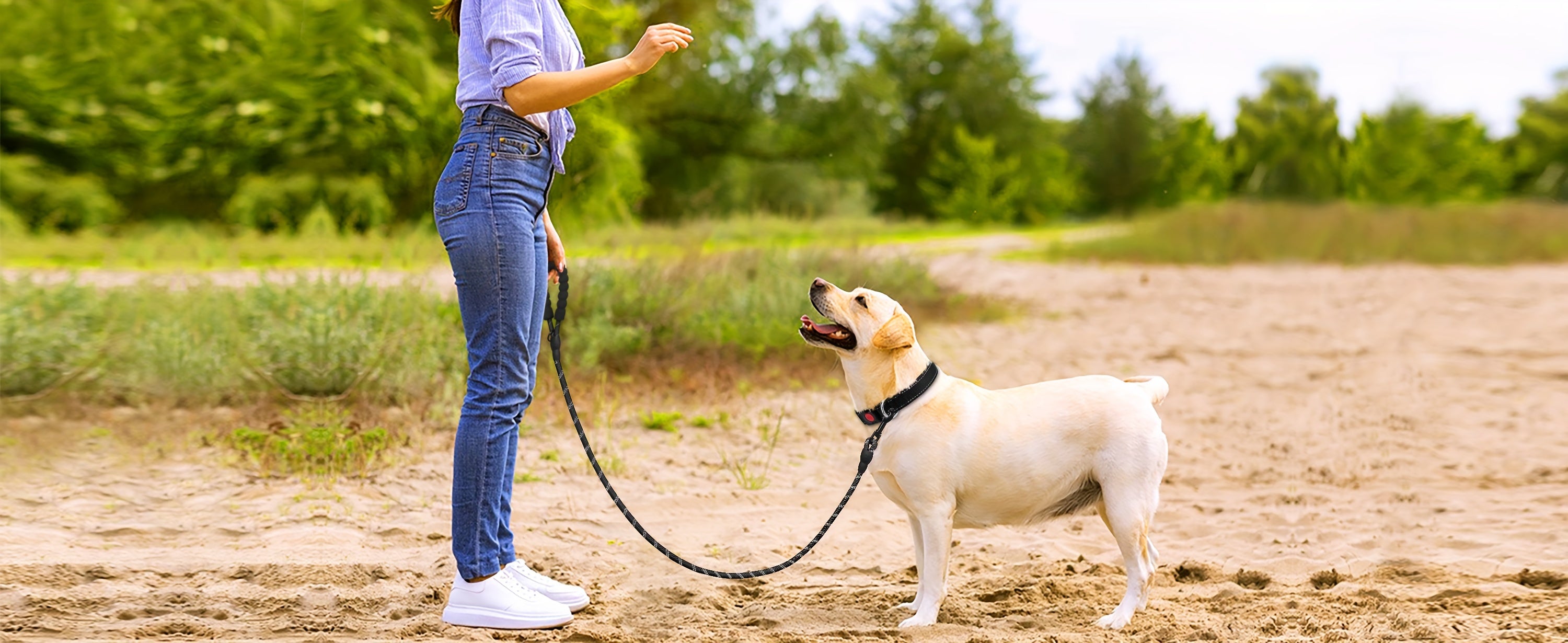 JOYTALE Dog Harness and Leash set,No Pull Adjustable Reflective Oxford Dog Harness Easy Control Medium Large Dog Harness with A Free Heavy Duty 152.4cm Dog Leash